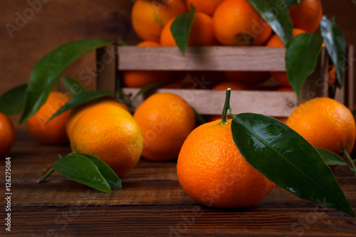 Mandarins or tangerines close up