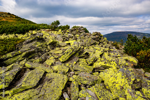 Yellow stones in Carpathians