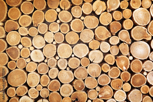 Wooden log texture