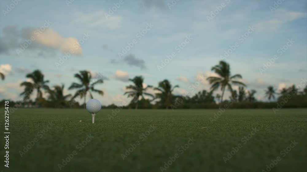 Golf ball standing on a tee before impact Golf ball standing on a tee before impact