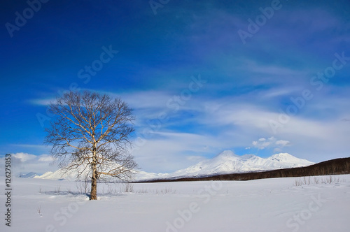 winter landscape in Russia © alena0509