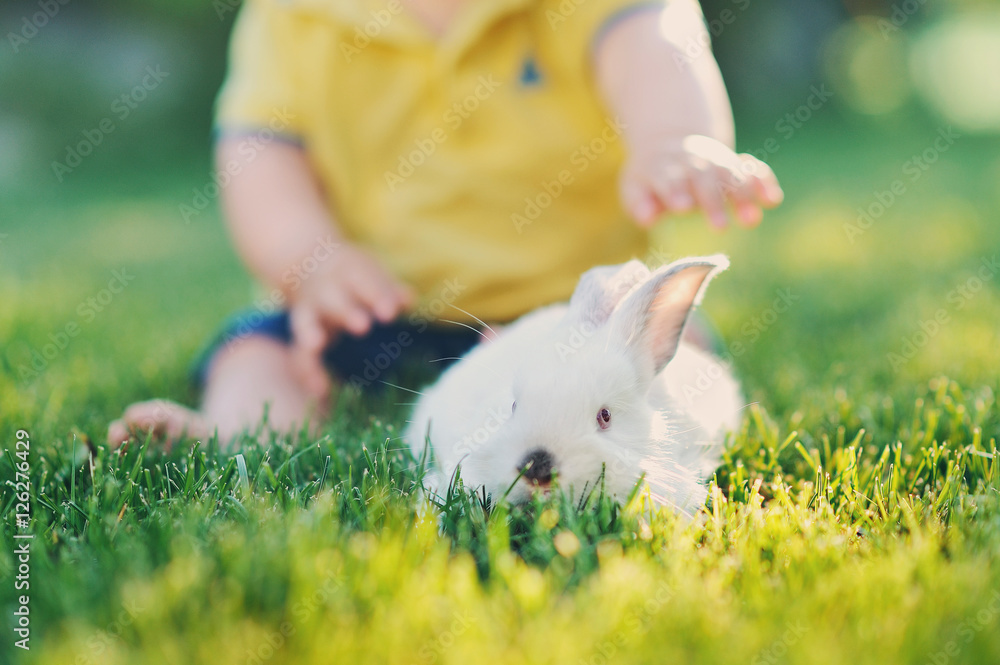 Ребенок трогает маленького белого кролика