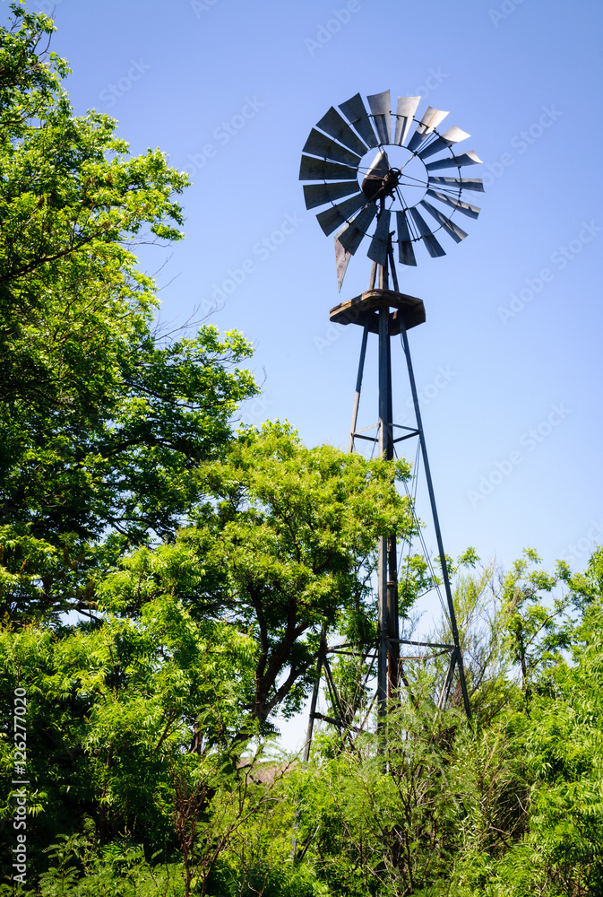 Fototapeta premium Big Bend National Park