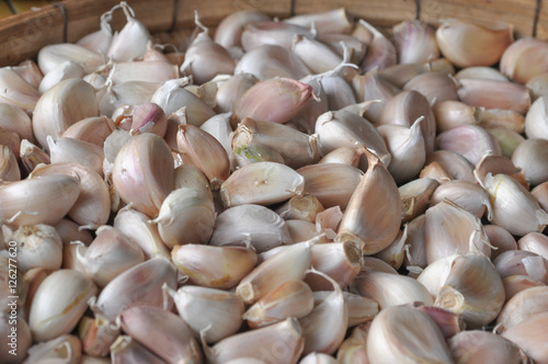 Garlic dried on wood basket background, selective focus