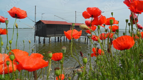 valli di comacchio