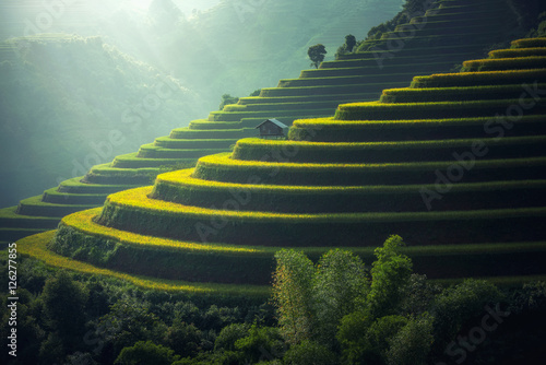 Fotografie Vietnam Rice fields on terraced in rainy season at Mu cang chai, Vietnam