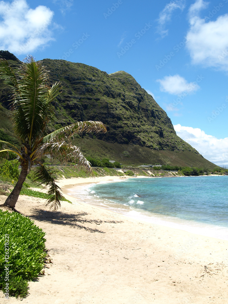 Tranquil shores of hawaii beaches