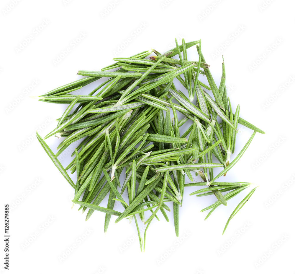 Fototapeta premium rosemary isolated on white background