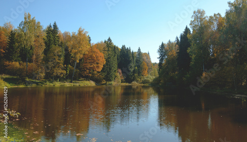 Autumn landscape with small forest pond