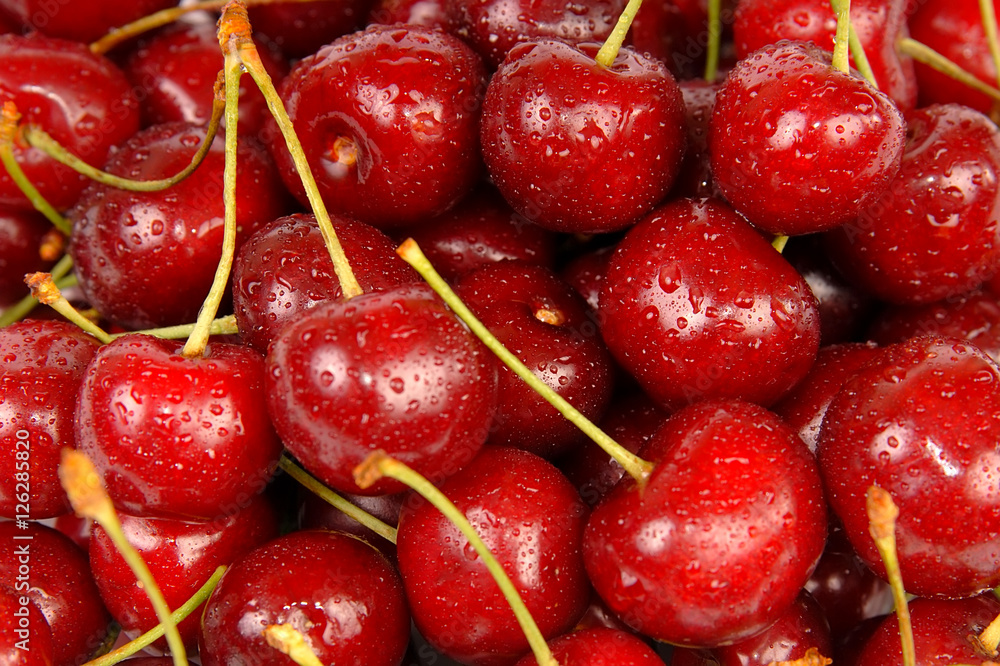 Background of ripe sweet cherry with drops and splashes water Background of ripe sweet cherry with drops and splashes water