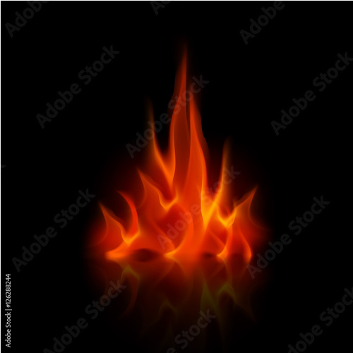 Vector Red Fire Flame Bonfire Isolated on Background