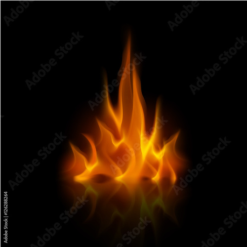 Vector Yellow Orange Fire Flame Bonfire Isolated on Background