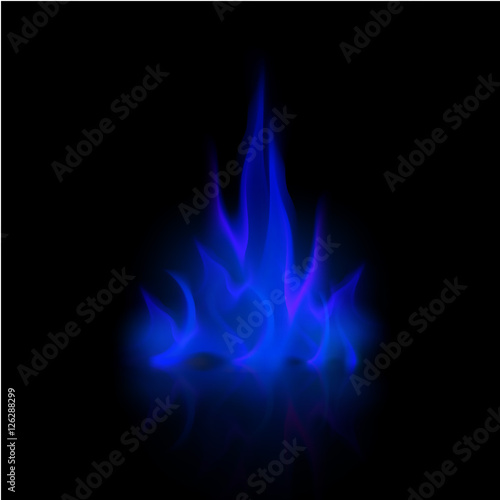 Vector Blue Fire Flame Bonfire Isolated on Background