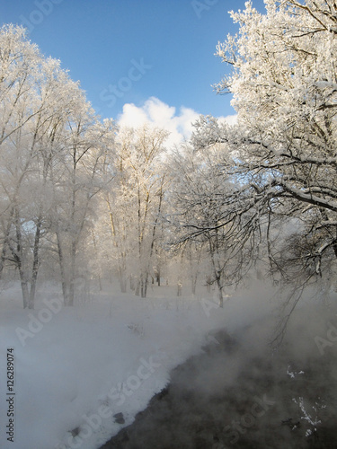 Fluffy snow © zoya54
