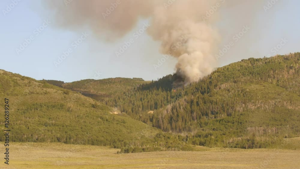 Huge mountain forest fire with smoke on a summer day Huge mountain forest fire with smoke on a summer day