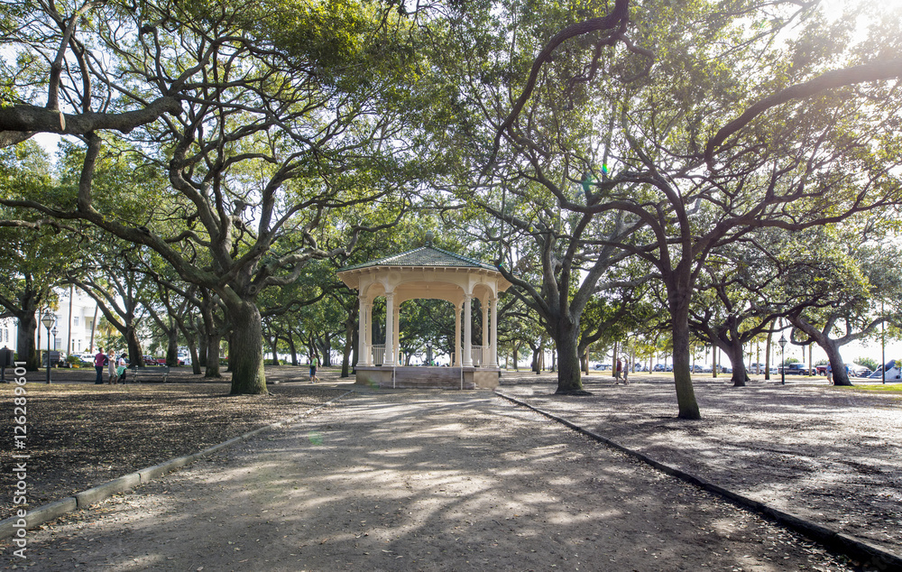 The battery in downtown Charleston, South Carolina