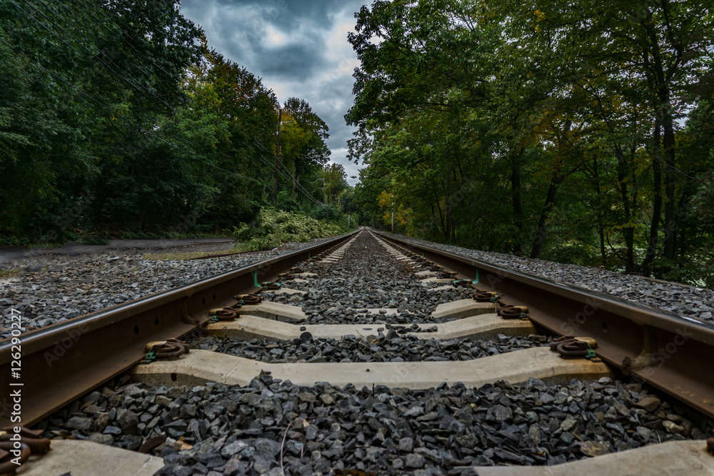 Obraz premium On the tracks