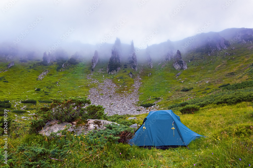 A solitary tourist tent stands on a meadow.