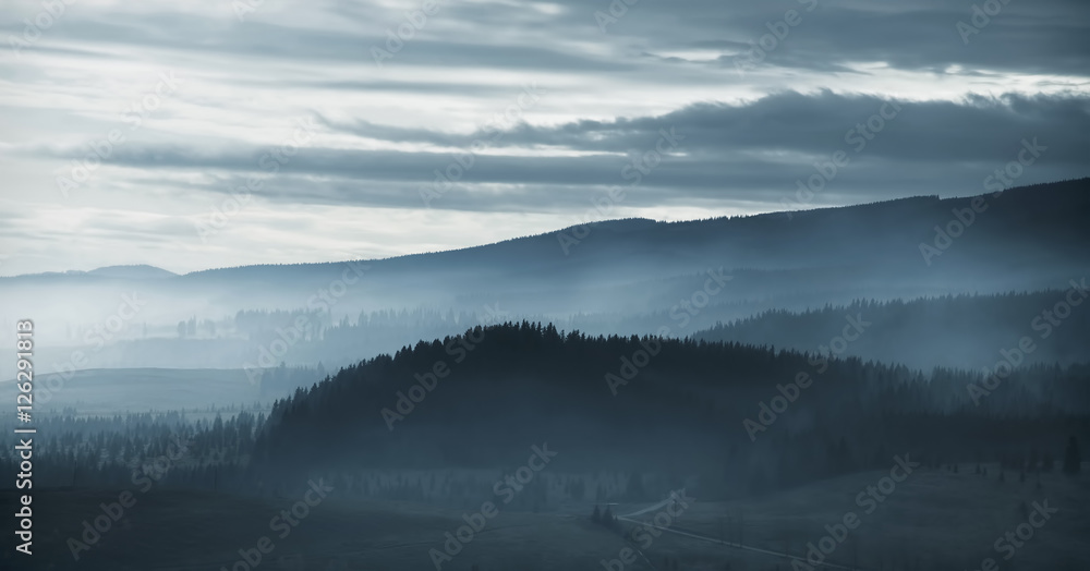 Dramatic misty mountain forest at dawn
