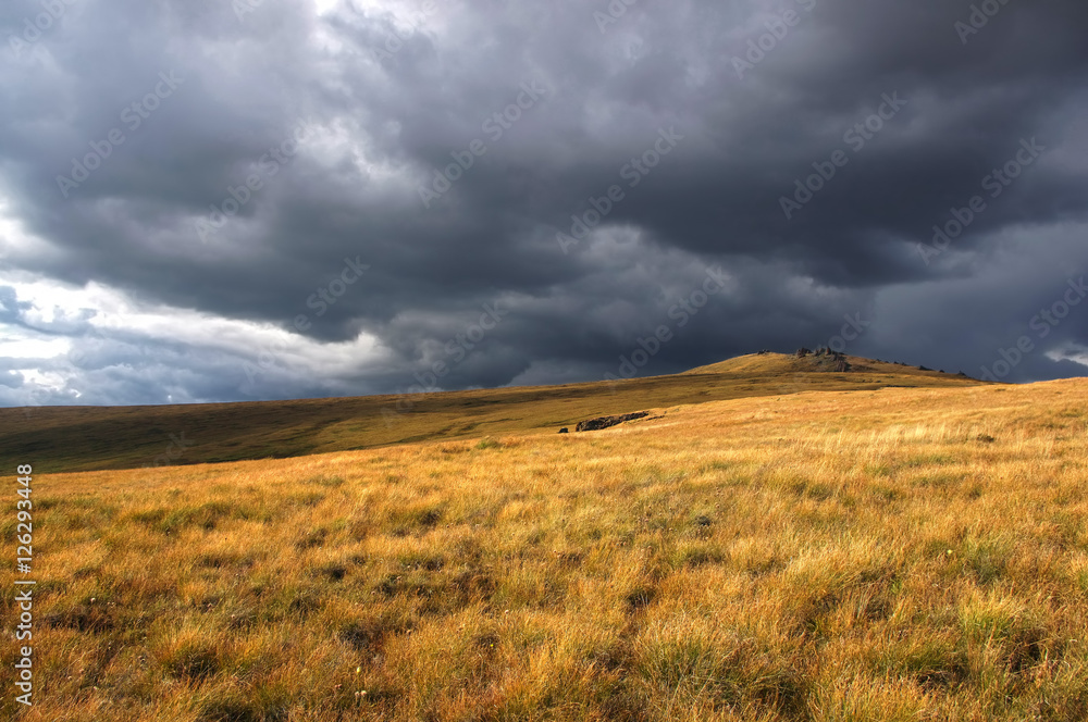A wide highland steppe with yellow grass on the Ukok plateau, under a cloudy sky Altai mountains, Siberia, Russia
