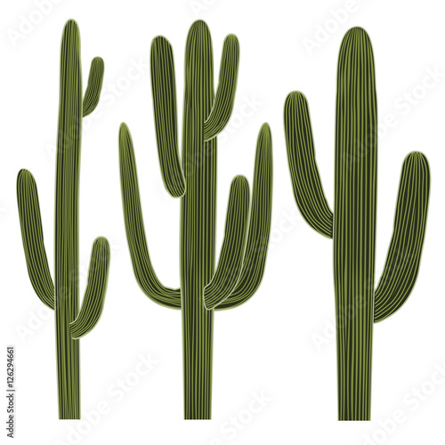 Isolated Saguaro Cactus Set