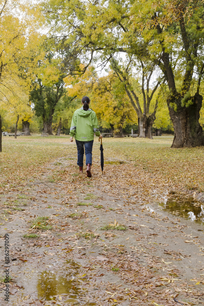 Fototapeta premium Woman walking with an umbrella in a park with yellow leaves falling from trees