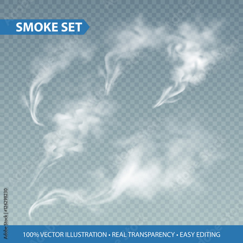 Delicate white cigarette smoke waves on transparent background. Vector illustration