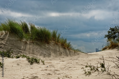 Sandy beach with grass