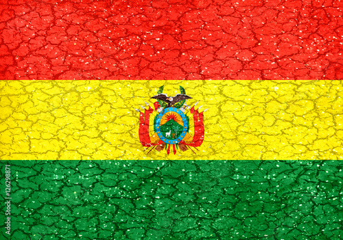  Grunge Style Bolivia National Flag