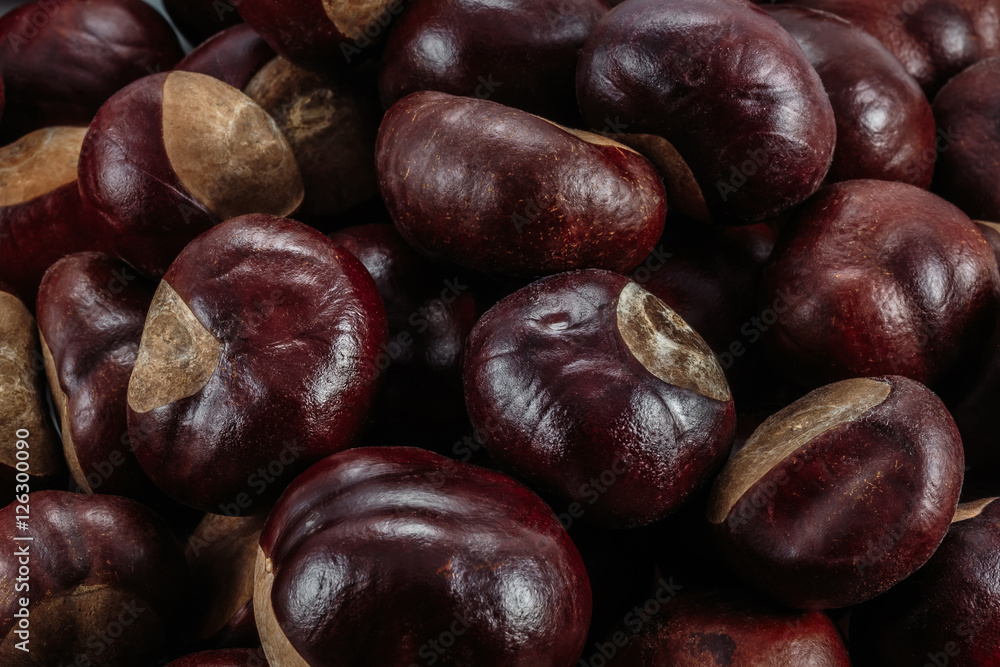 a dozen brown chestnuts lying next to each other a dozen brown chestnuts lying next to each other