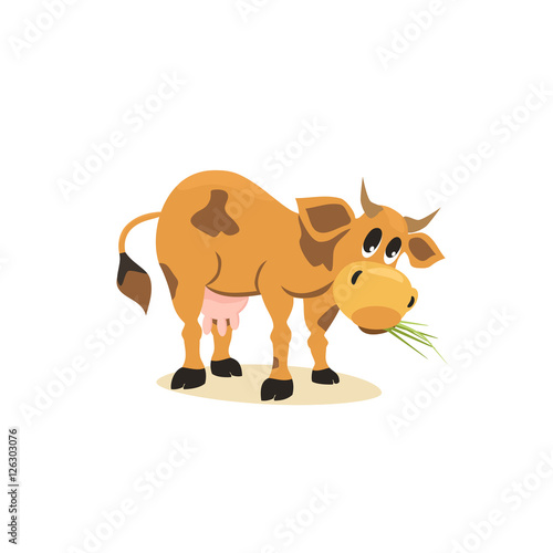 Milk cow. Dairy natural product Concept.Mammals animal isolated on white. Cartoon Holstein  Jersey  cow logo.Udder  horns  hoofs. Vector illustration