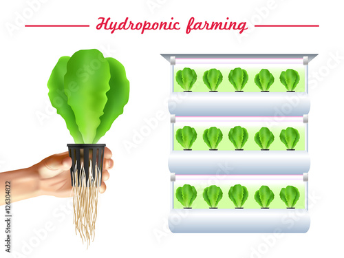Hydroponics System Poster