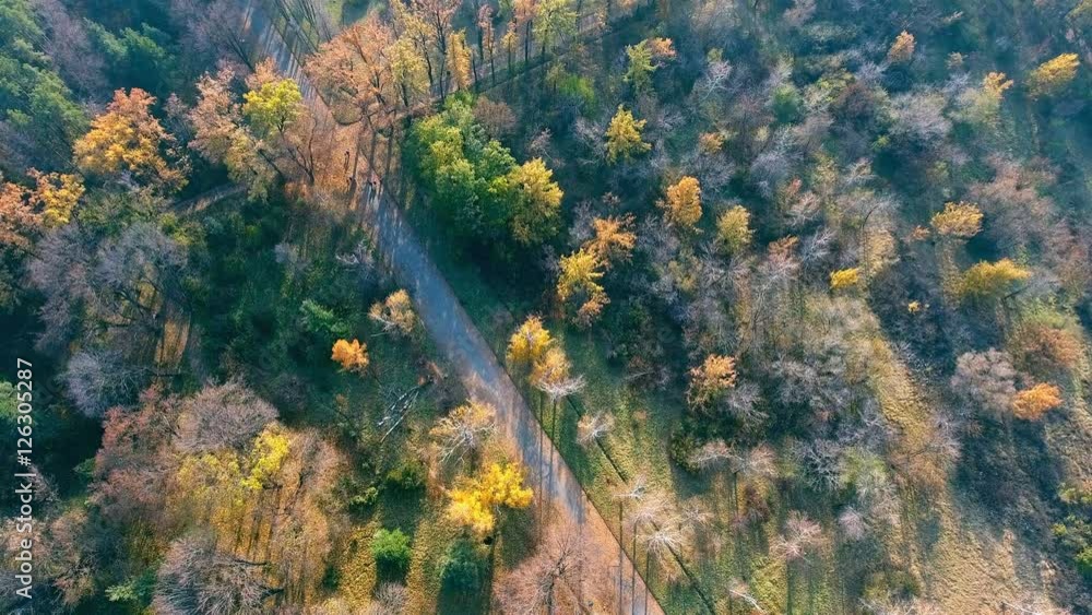 Fall season forest top view from drone. Autumn park. Fall season forest top view from drone. Autumn park.