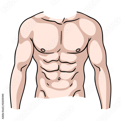 Muscular torso icon in cartoon style isolated on white background. Sport and fitness symbol stock vector illustration.