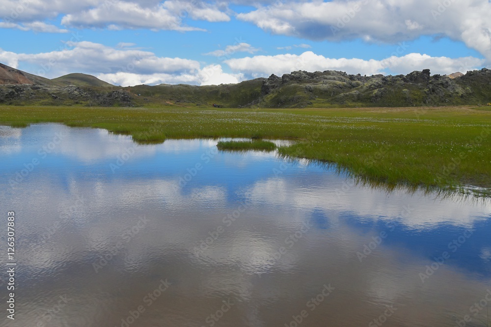 Feuchtwiesen bei Landmannalaugar Feuchtwiesen bei Landmannalaugar