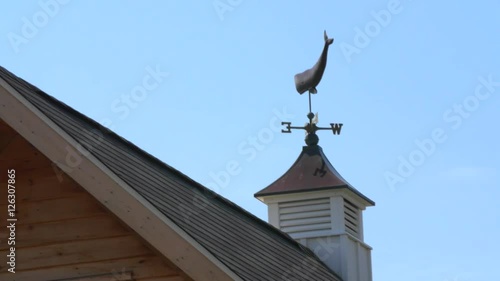 Whale weather vane on barn cupola blowing in wind