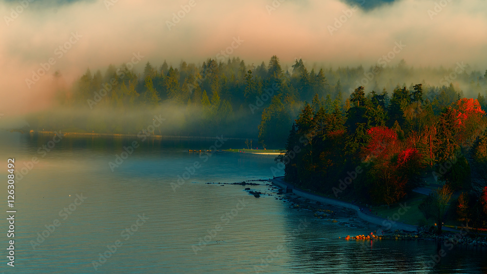 Obraz premium Stanley park foggy morning,stanley park,English bay.Vancouver.BC ,Canada