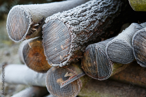 Frost on a pile of firewood