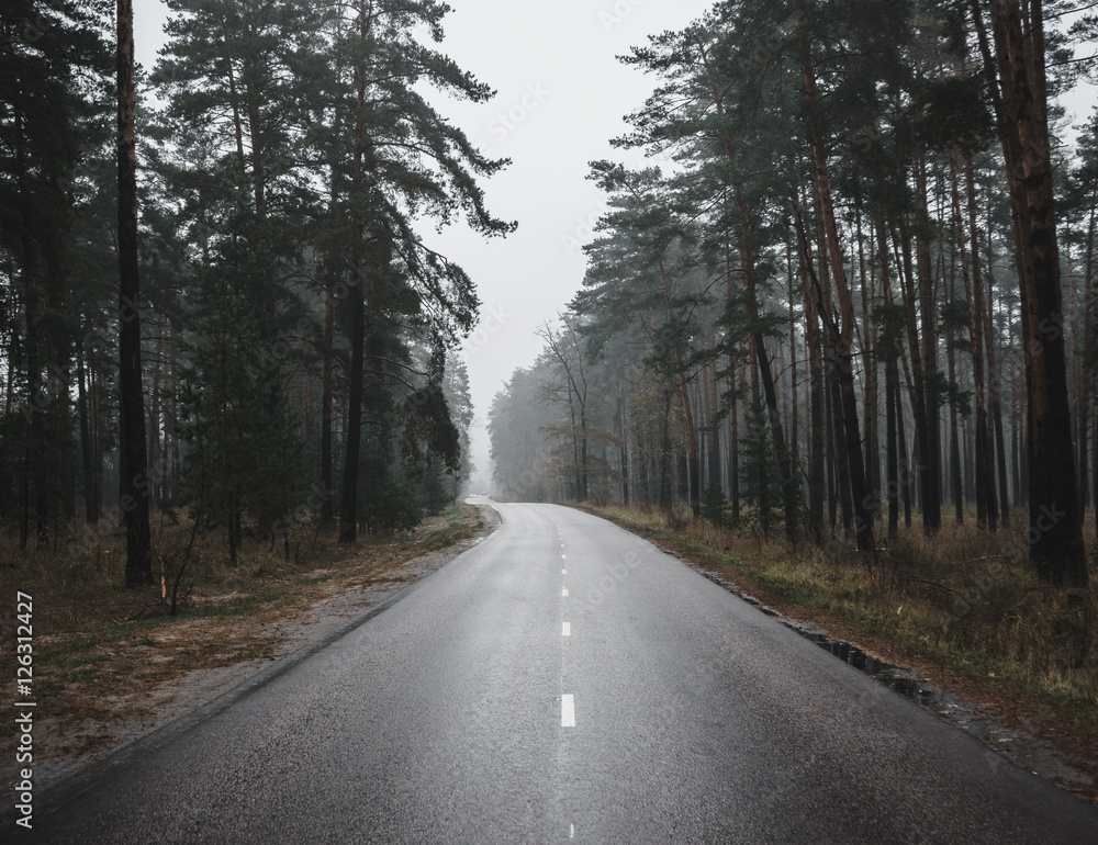 Fototapeta premium Empty asphalt curve road in a foggy day in the wood