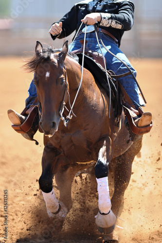 The front view of a rider in cowboy chaps, boots and hat on a horseback running ahead and stopping the horse in the dust. © PROMA