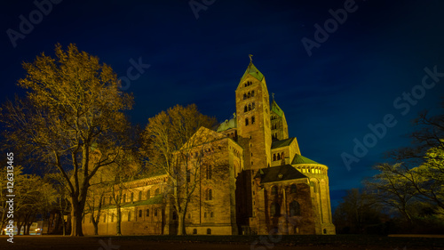 UNESCO world heritage Speyer Cathedral by night, Germany