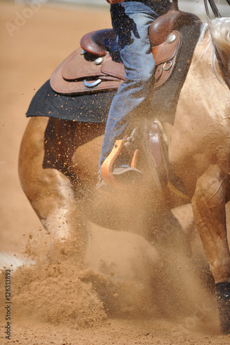 The close-up view of a rider on a horseback running ahead and stopping the horse in the dust.