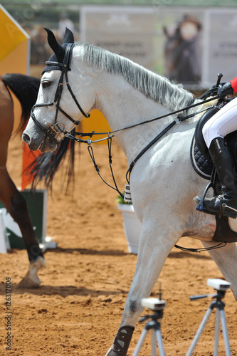 The side close-up view of a rider on a horseback during the competition 