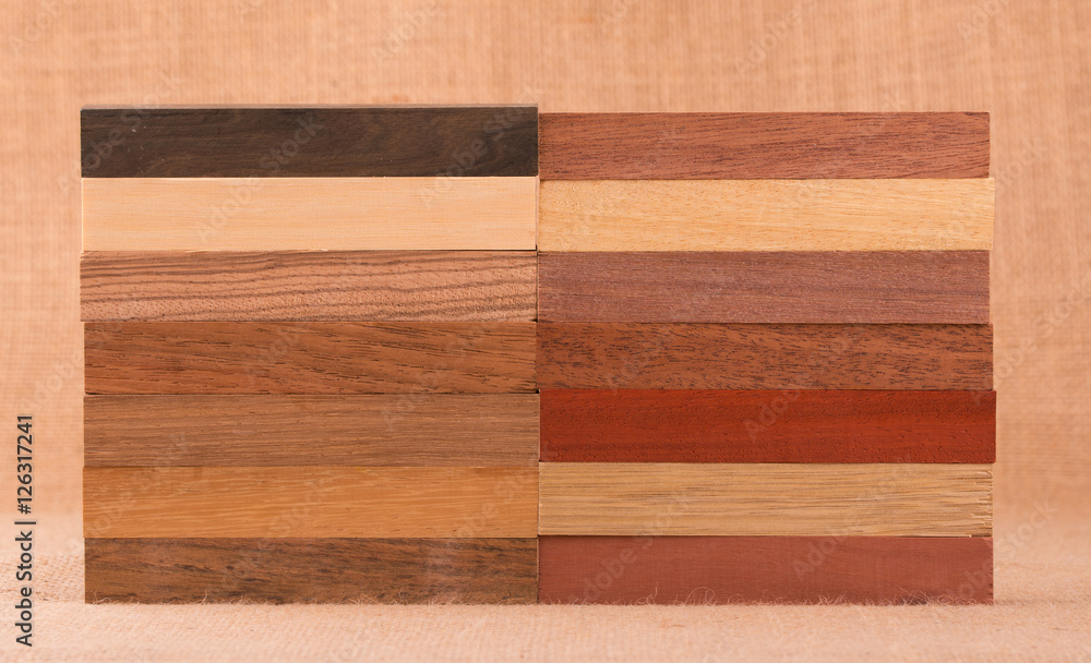 Different species of wood in small blocks for woodworking Stock Photo