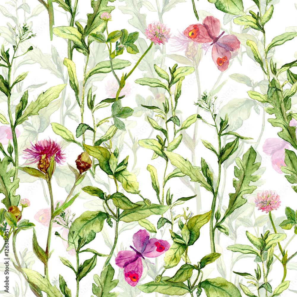 Obraz Wiosenny ogród: trawa, kwiaty, motyle. Vintage akwarela. Bezszwowy wzór