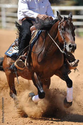 The front view of a rider on a horseback stopping in the dust.