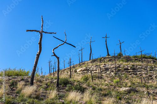 Burned forest full of crosses made with branches