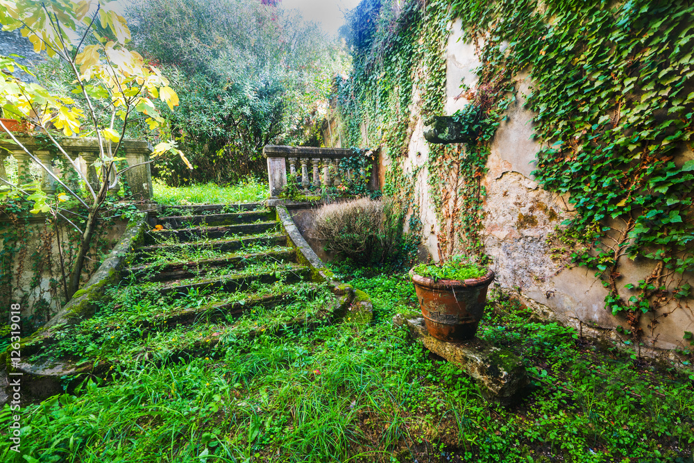 Obraz premium stairs in an abandoned garden in Tuscany
