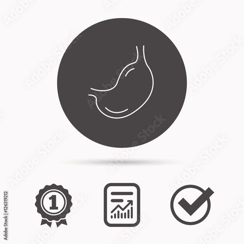 Stomach icon. Gastroscopy health sign. Anatomical body organ symbol. Report document, winner award and tick. Round circle button with icon. Vector