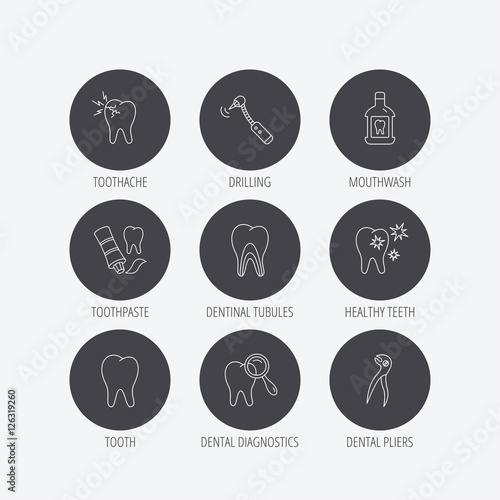 Tooth, stomatology and toothache icons. Mouthwash, dental pliers and diagnostics linear signs. Dentinal tubules, drilling icons. Linear icons in circle buttons. Flat web symbols. Vector